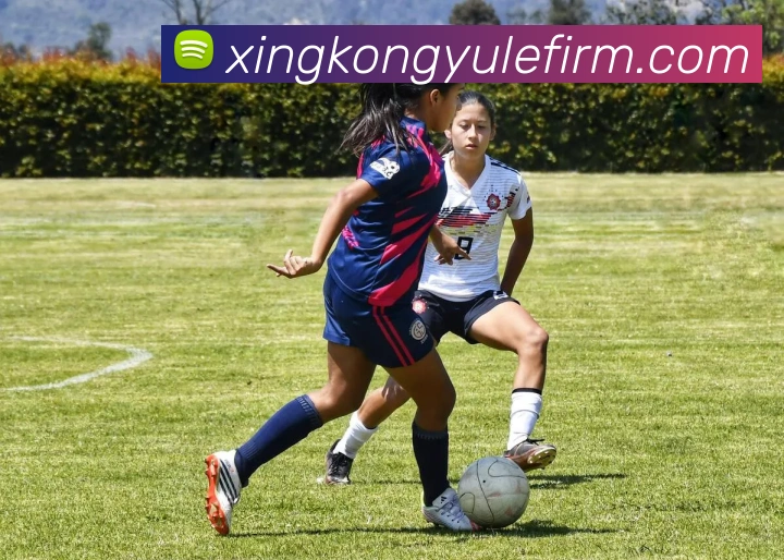 多媒体互动体验